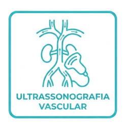 Ultrassonografia Vascular